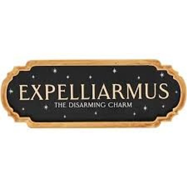 PLAQUE EXPELLIARMUS PETITE DE WARNER BROS HARRY POTTER