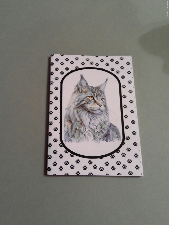 Carnet de note Maine coon