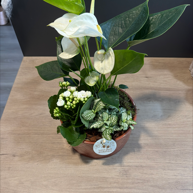 Composition Automnale d'interieur 