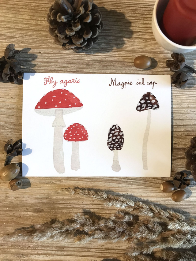 Carte postale fly agaric