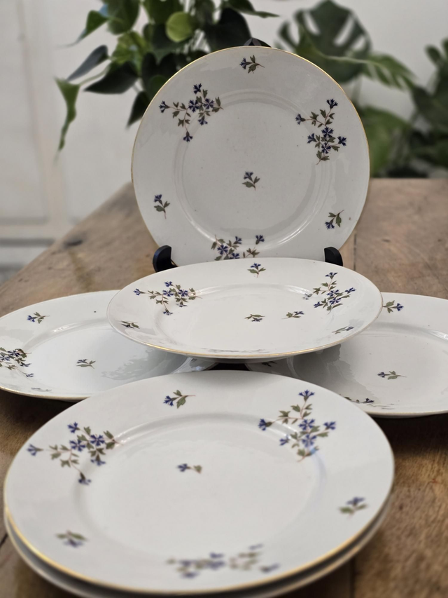 Assiettes plates Limoges 