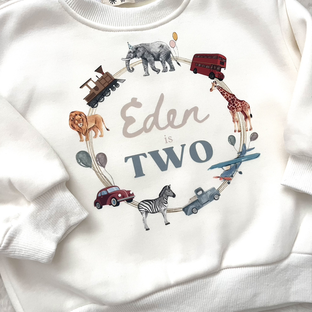 Milestone Sweater / romper - custom print design