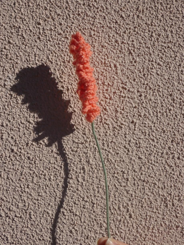 Lavande abricot pailleté 