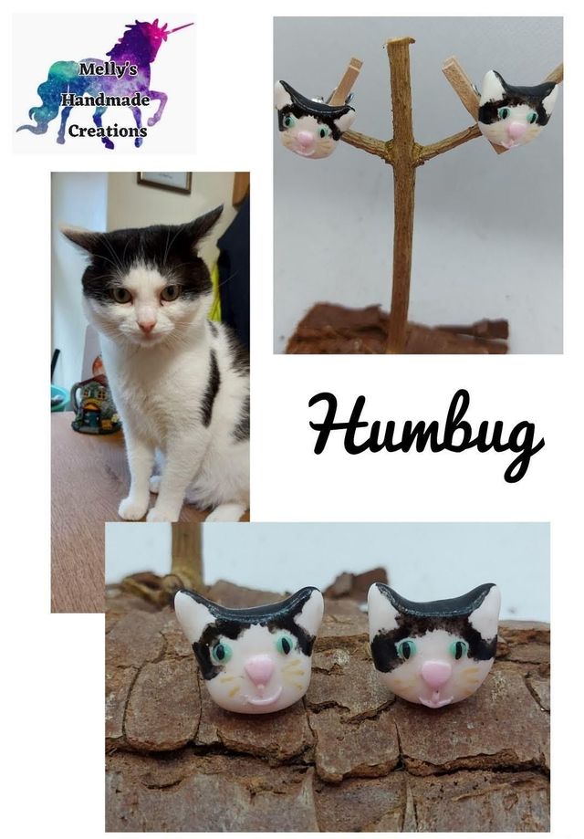 Custom made cat earrings