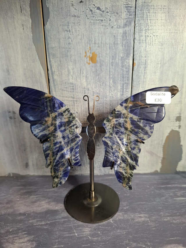 Sodalite Butterfly 