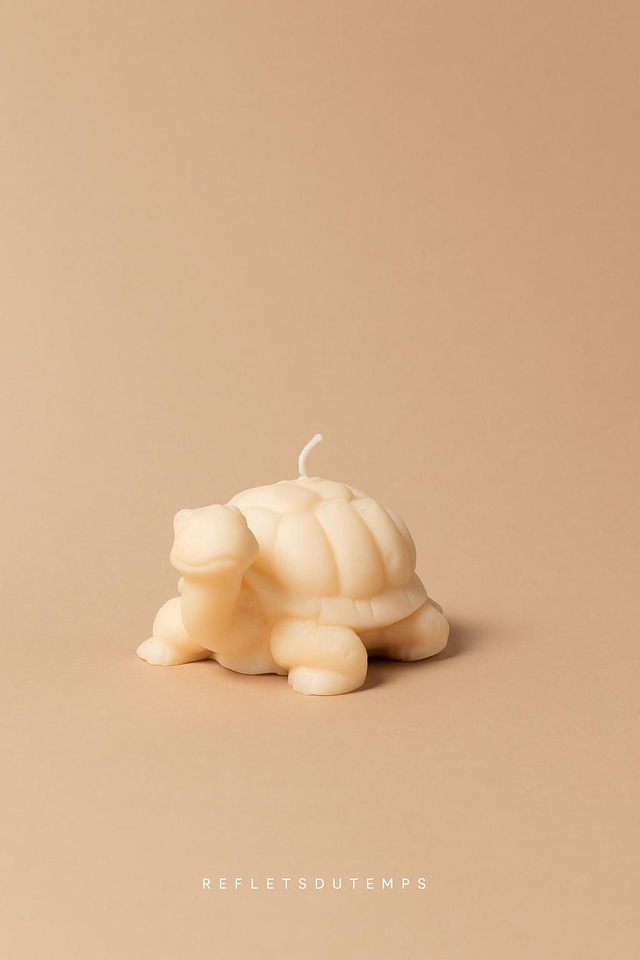 Bougie tortue 