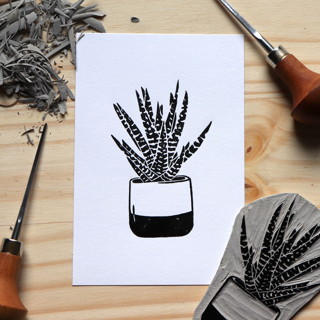 Linogravure A6 Haworthia