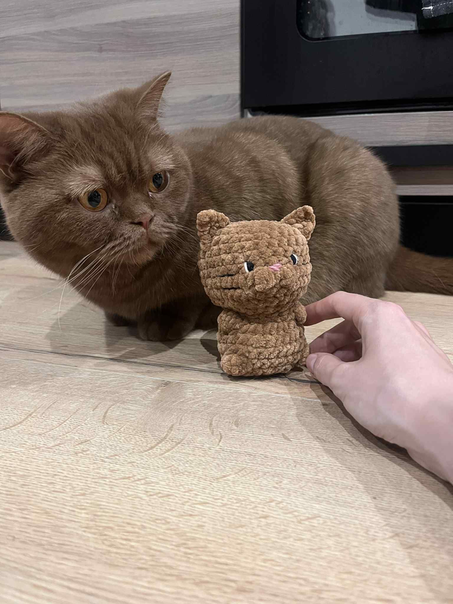 Chat au crochet 🐱