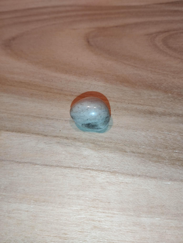 Bois fossile ou bois pétrifié 