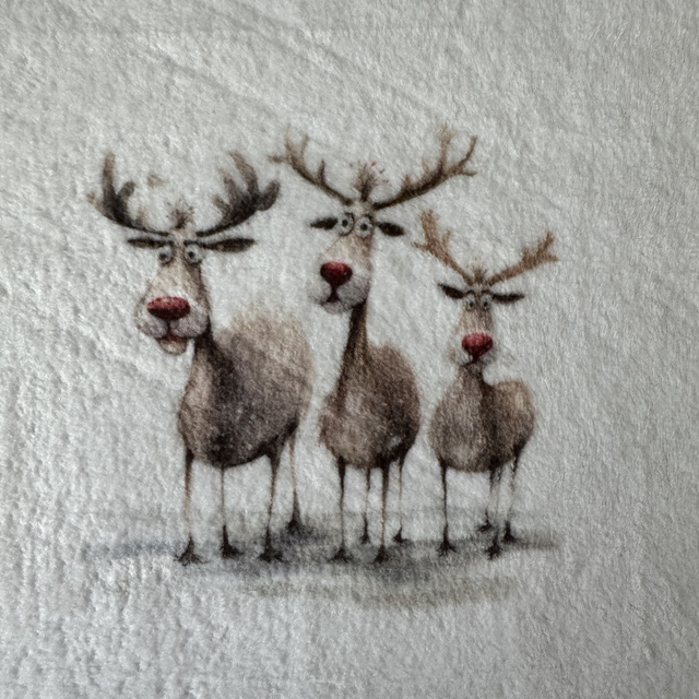 Christmas Wash Cloths