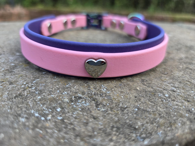 19mm x 14.5 inches 2 layer pink/purple biothane collar