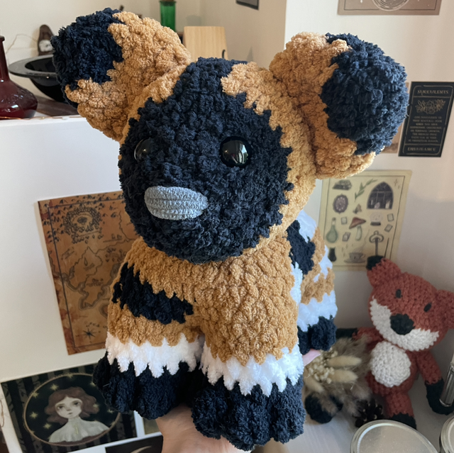 Saffi, le chien sauvage