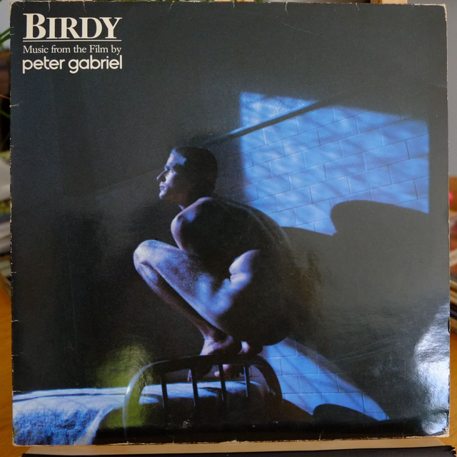 BIRDY - B.O film ( Peter Gabriel)