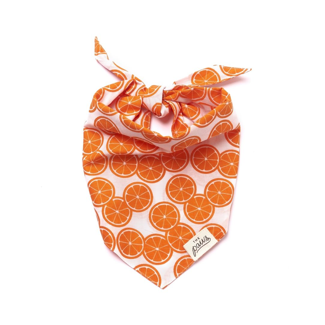 The Paws - Fresh Slice Dog Bandana