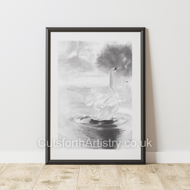 Swan On Pond | Giclee Prints