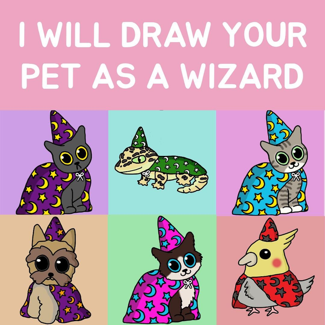Wizard Pet Commission