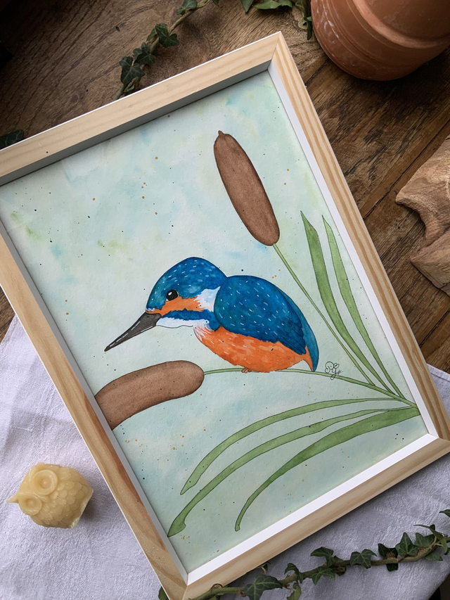 « Roi des marais »