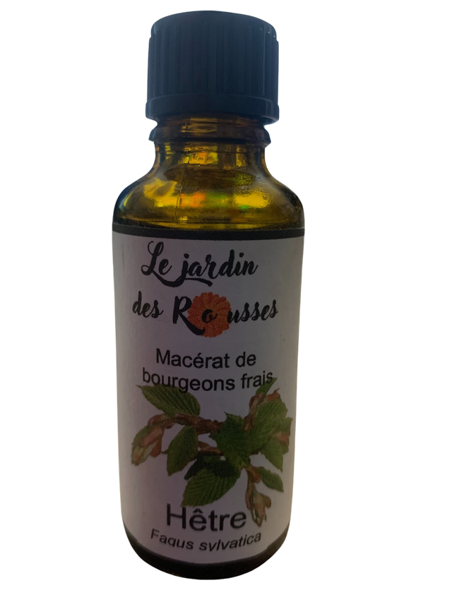 HETRE -  Macérât glycériné de bourgeons Flacon de 30 ml 