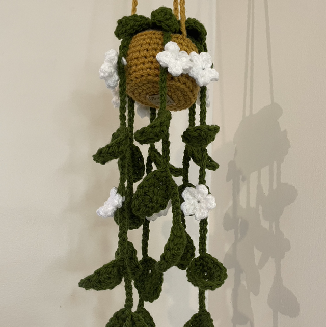 Hanging plant