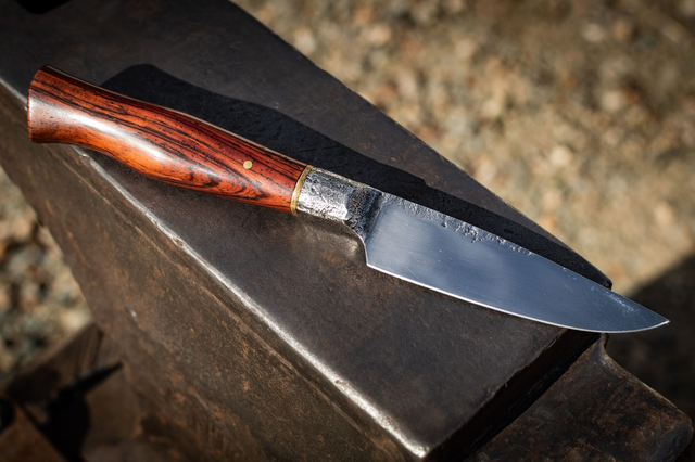 Intégral - Cocobolo