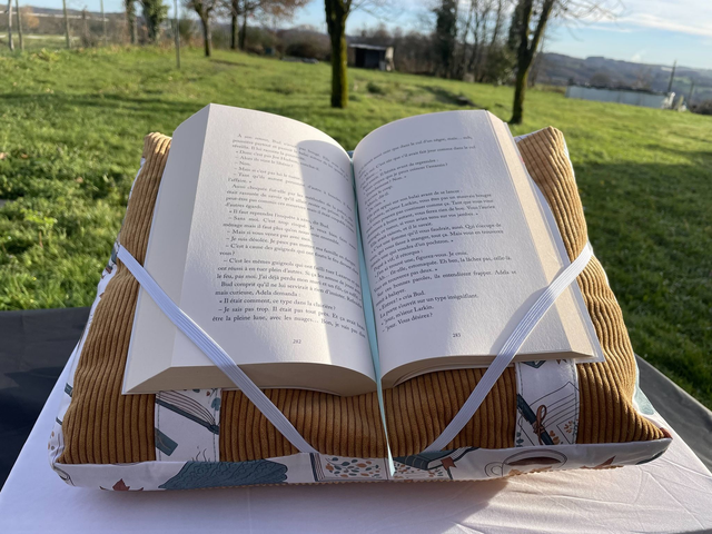 Coussinde de lecture cosy