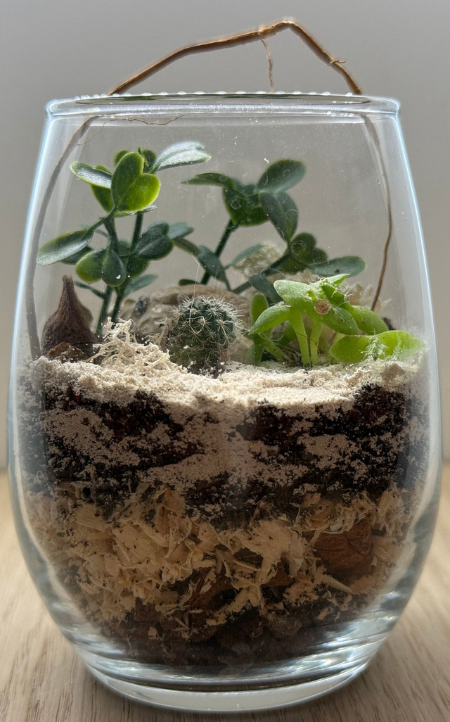 Bowo® TOGO connecté Home 