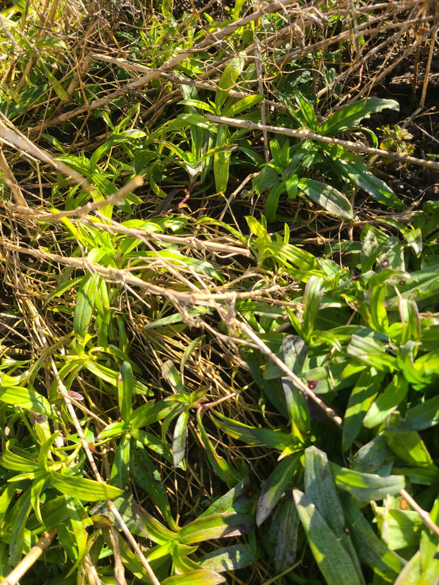 Rituels de printemps - des produits pour prendre soin de toi au naturel