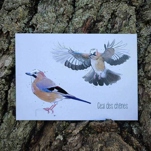 GEAI DES CHÊNES - Carte format A6