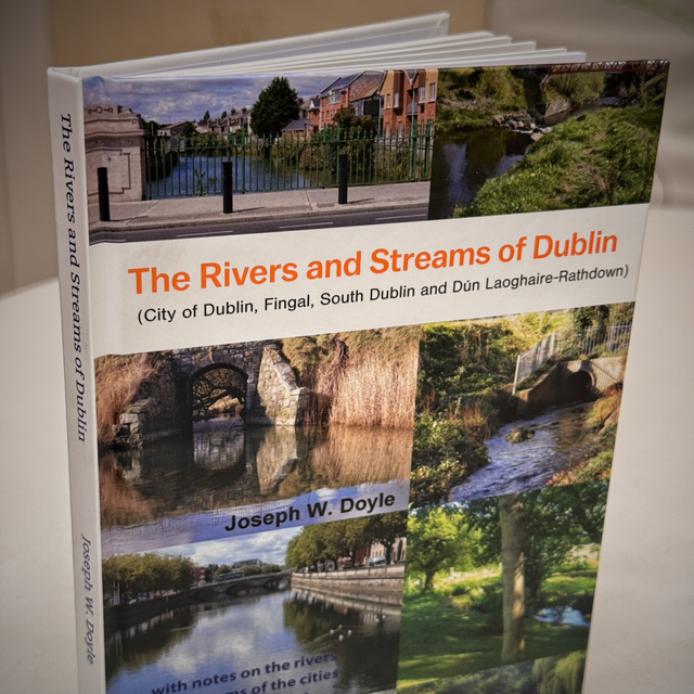 Rivers and Streams of Dublin by Joe Doyle, Hardback 