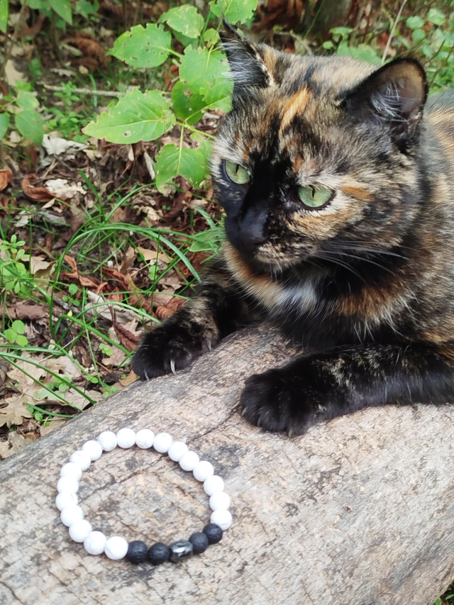 Bracelet Homme Howlite