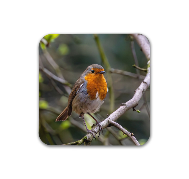 Perched, North Yorkshire