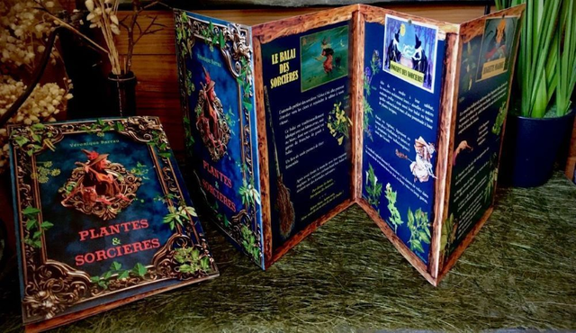 Plantes et sorcières