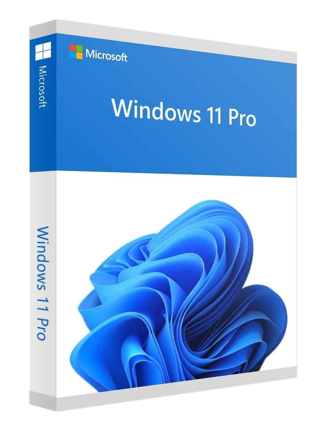MICROSOFT WINDOWS 11 PROFESSIONAL