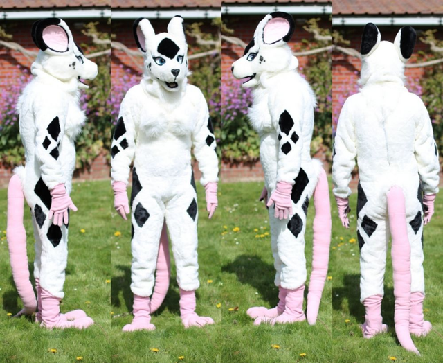 Volledige Rat Fursuit (Diamond)