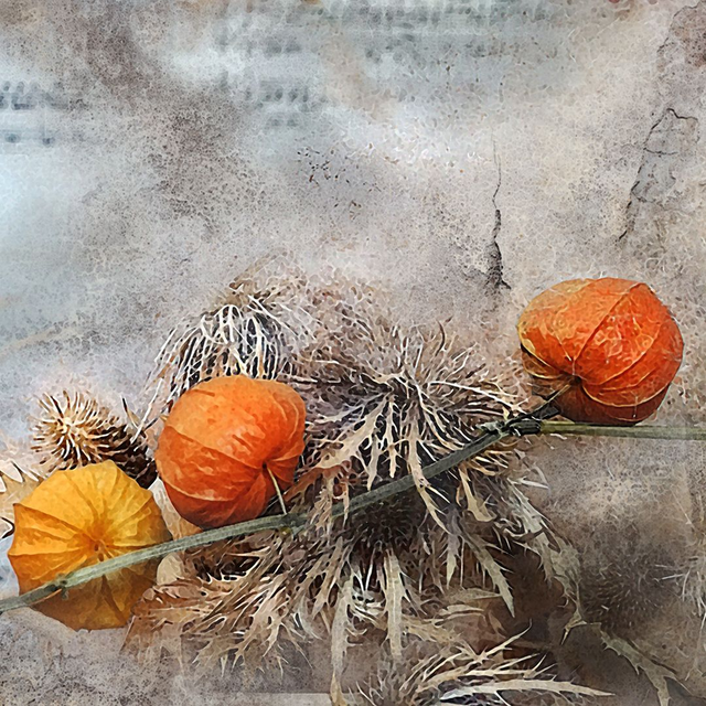 Card 'Faded into Dust'