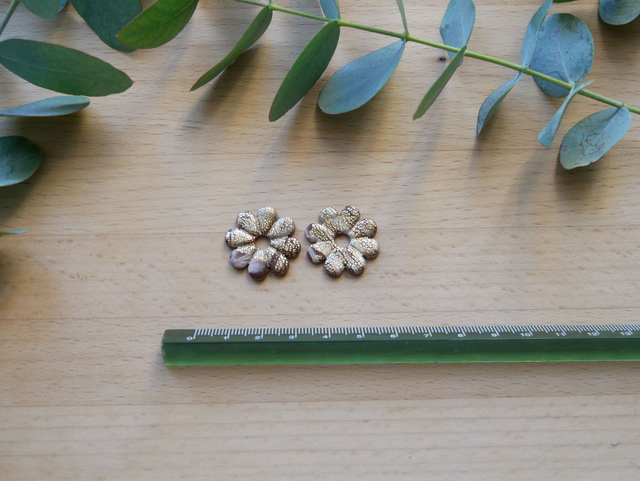 Marguerite marron pétales dorées