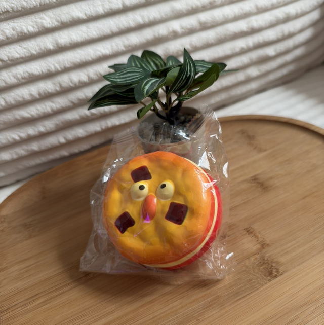 Squishy Cookie aux Pépites de Chocolat