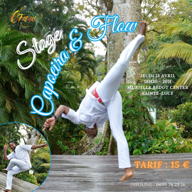 Capoeira &amp;amp; flow