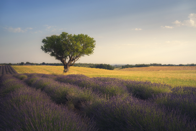 SMAM - Stage "Les secrets de la photo de paysage", samedi 18/10/2025, 15h30 - 17h30