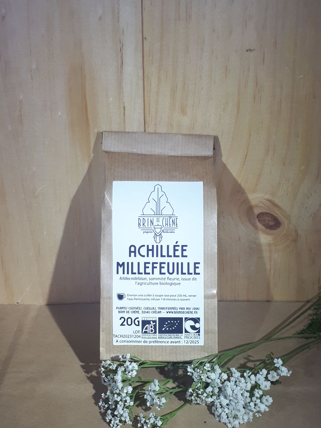 Achillée millefeuille – Tisane simple