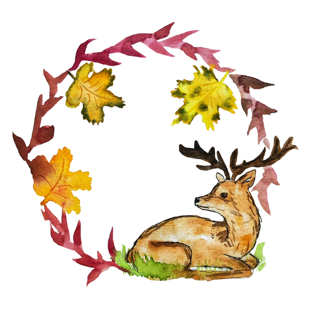 Cartes étapes bébé - Merveilles de la Forêt 