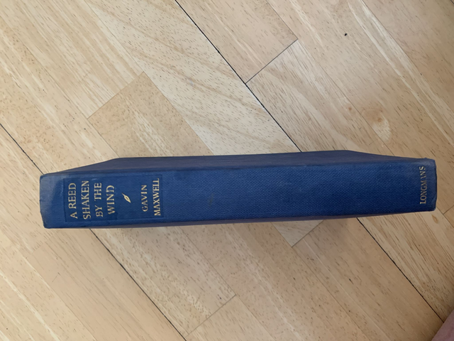 A Reed Shaken By The Wind Gavin Maxwell - 1957