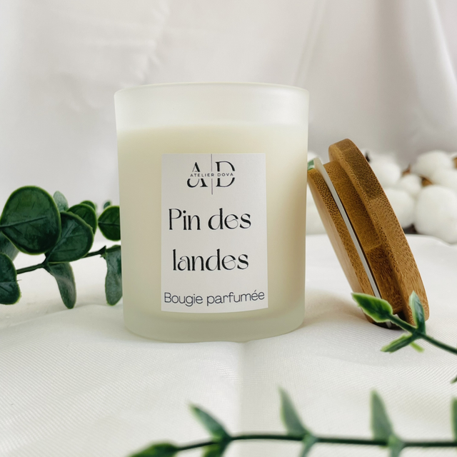 Pin des Landes bougie parfumée