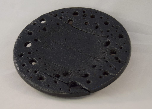 Verkoolde shaal - vuren