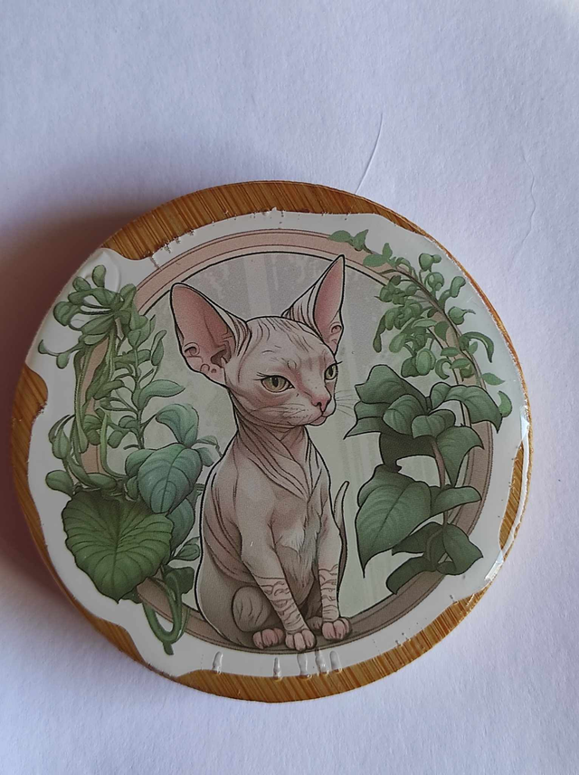 Décapsuleur Chat Sphynx