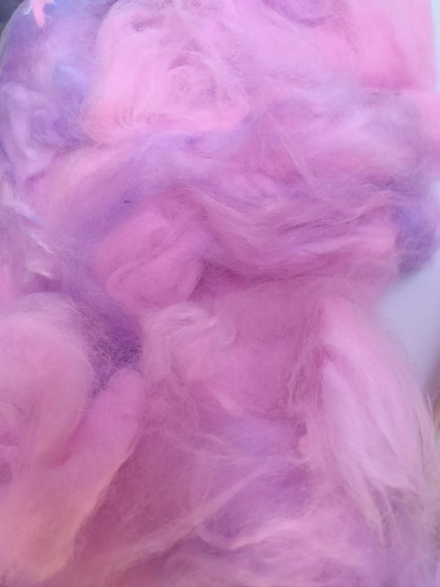 Fibre24001 Lapin Angora français 