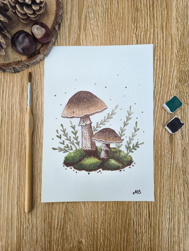 Affiche "Champignons"