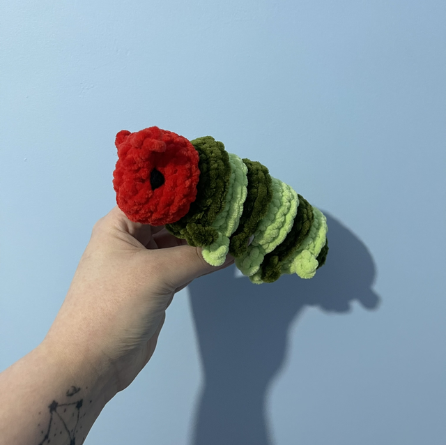 Caterpillar Plushie 🐛