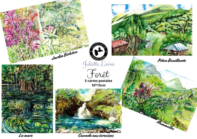 Lot 5 cartes postales aquarelle "Forêt"