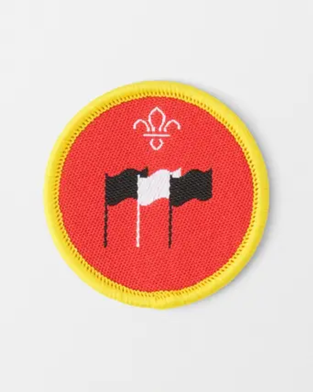 Cubs Activity Badge - International